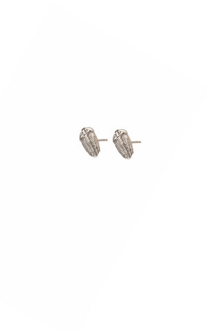 Trilobite Stud Earrings