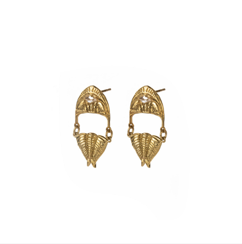 Cambrian Earrings