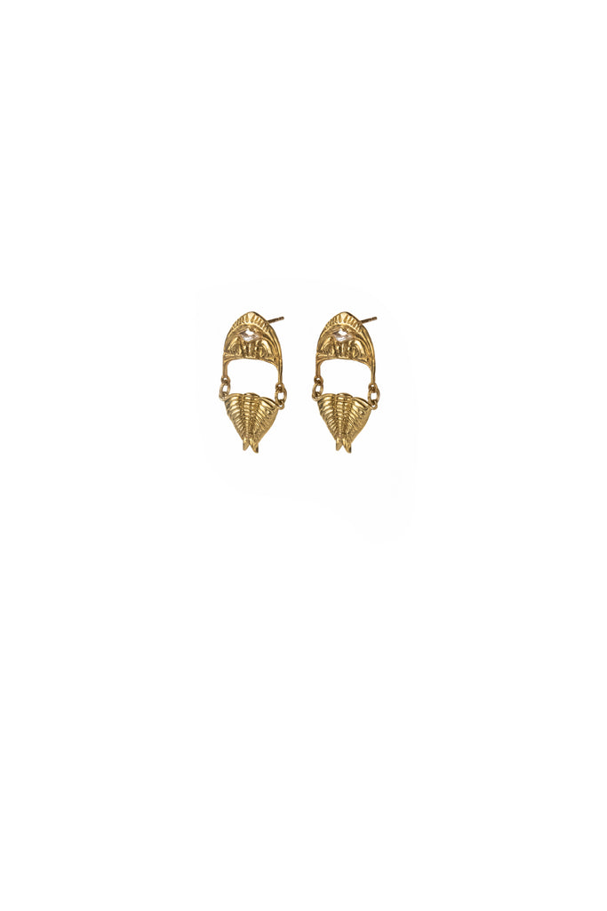 Cambrian Earrings