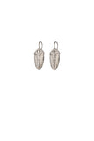 Trilobite Earrings